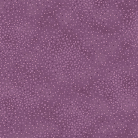 SPOTSY                   